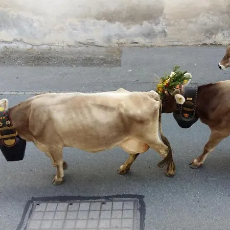 Apartment Banca Veglia Santa Maria Val Muestair