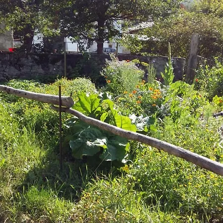 Banca Veglia Апартаменты Санта-Мария-Валь-Мюстаир