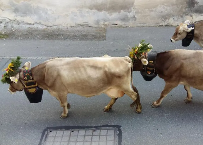 Apartman Banca Veglia Sta Maria Val Müstair